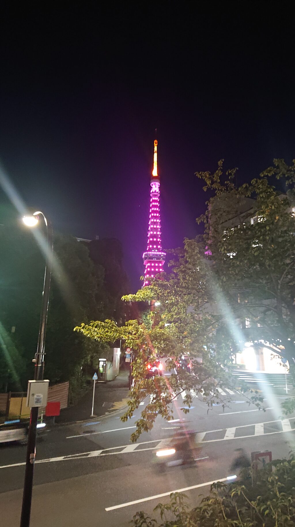 東京タワー　ピンクのライトアップ